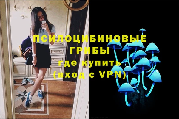 соль ск Алексин