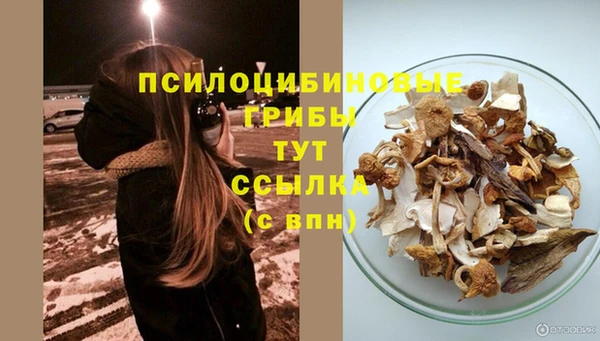 a pvp Абдулино